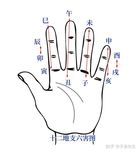 地支三会|三合、三会、六合、六害、三刑地支（属相知识）